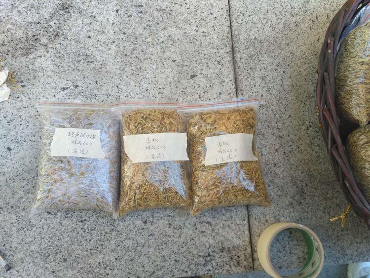 “超聲波處理對稻谷表面微生物的影響”發表論文啦!!