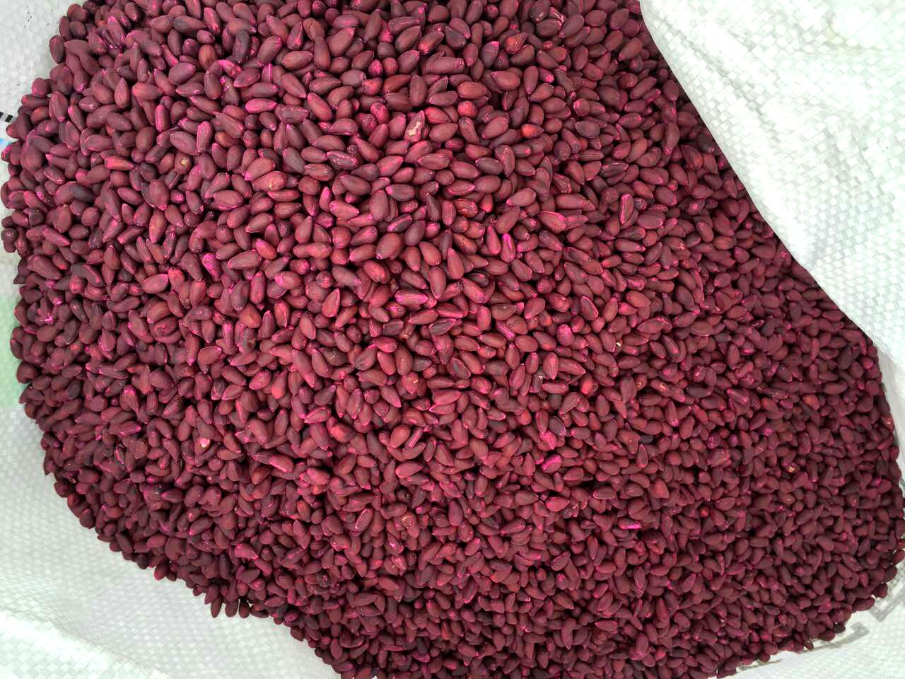 1700984290553506.jpg 3.jpg